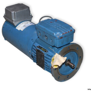 WEG WN71-6 EFF-1 Brake Motor