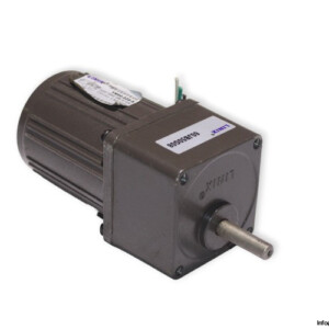 linix-YN60-220-6-gear-motor-used