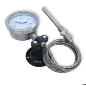Te.ma. KC21TI001101 GAS Actuated Thermometer