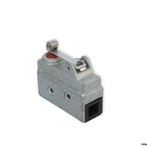 Burgess V9LR/715 Micro Switch