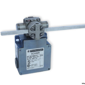 Telemecanique XCKMR54D1H29 Limit Switch