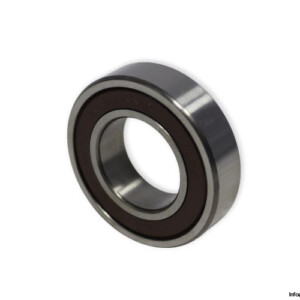 nsk-6005DDU-deep-groove-ball-bearing-(new)