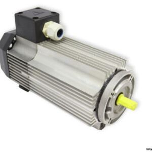TEM Q7M15170309M Electric Motor
