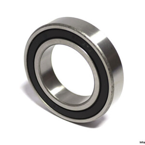 JBL 6009 2RS Deep Groove Ball Bearing