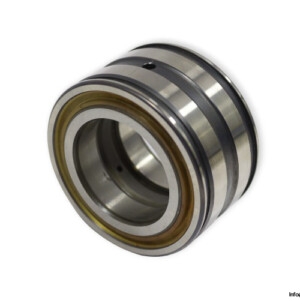 INA SL045008-PP Double ROW Cylindrical Roller Bearing