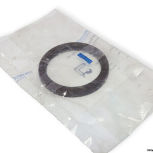 Freudenberg 75 FKM 585 Rotating Shaft Seal