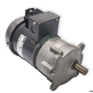 Dayton 2H444 Gear Motor