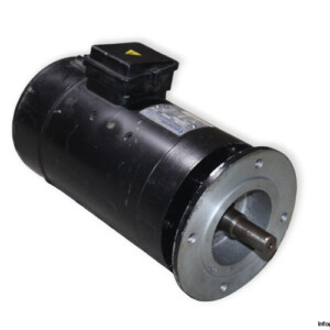 Brusatori C.C.100L Motor
