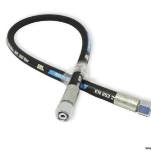 Rauh Basicline EN 853 2SN DN8 Hydraulic Hose