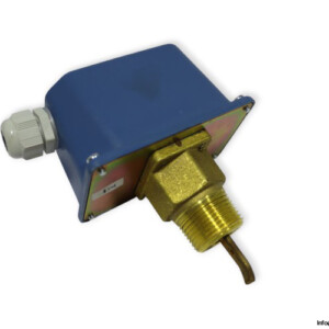 NSF NSF-1E/EI Flow Switch