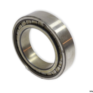 INA F-88275 Cylindrical Roller Bearing