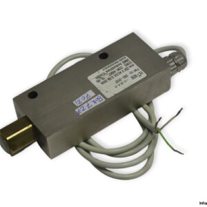 Gems FS-925E Flow Switch