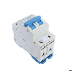chint-NB1-63_D6_2-POLE-miniature-circuit-breaker-(Used)
