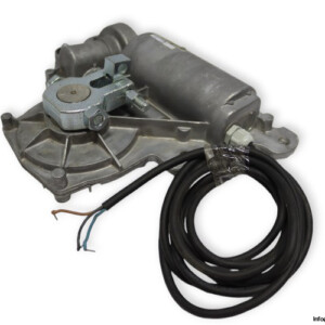 Came 88001-0070 Complete Gear Motor