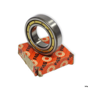 fag-6006-P63-deep-groove-ball-bearing-(new)-(carton)