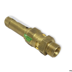 TUV-SV-16-1090-A113-safety-valve-used