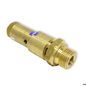 AZ TUV-SV-05-882-10-D/G-0.71 Safety Valve
