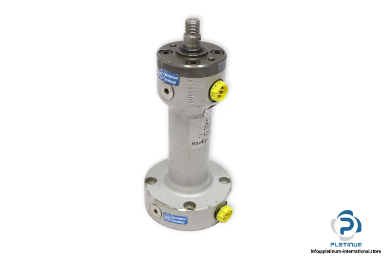 h-g-s-Z20483-hydraulic-cylinder-used
