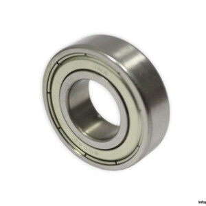 ina-6004-ZZ-deep-groove-ball-bearing-(new)-(without-carton)