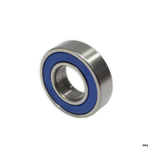 BBS-EMS 6004 2RS Deep Groove Ball Bearing