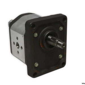 Marzocchi GHP2-D-6 Gear Pump