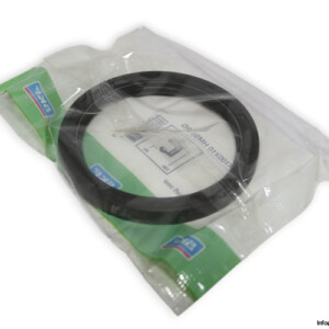 skf-CR-80X100X10-HMS5-RG-radial-shaft-seal-(new)
