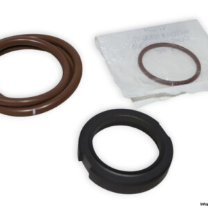 Waukesha 309-243 Seal KIT