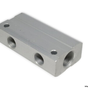 Aignep 060480011BCAG Double Distribution Manifold