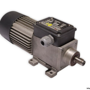 Mini Motor AC160P2 Gear Motor