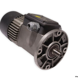 Mini Motor AC40 Gear Motor
