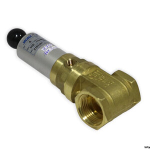 Valvaut Z101201 Gate Valve
