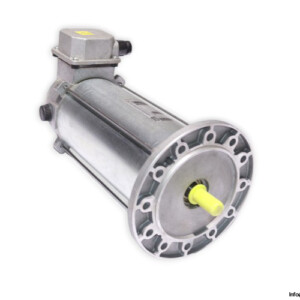 TEM R3L20480209M DC Electric Motor