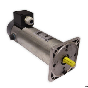 TEM D2L30120201M DC Electric Motor
