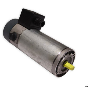 TEM D2M30050301M DC Electric Motor