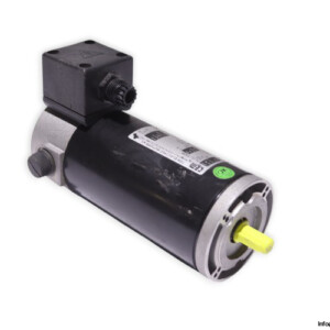 TEM PML15170309M DC Electric Motor