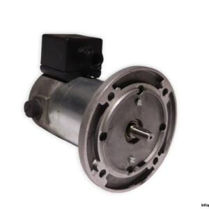 TEM PMM20120409M DC Electric Motor