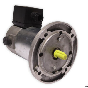 TEM PMM20240409M DC Electric Motor