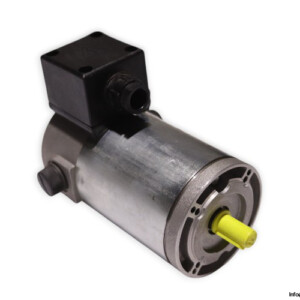 TEM PMM30120309M DC Electric Motor