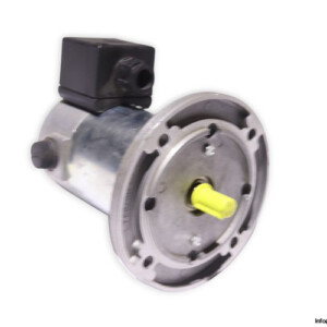 TEM PMM30120409M DC Electric Motor