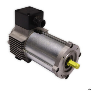 TEM Q3S20120309M DC Electric Motor