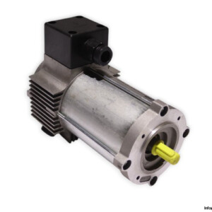 TEM Q3S20240309M DC Electric Motor