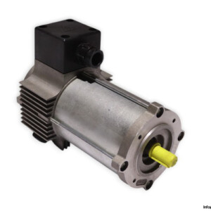 TEM Q3S30120309M DC Electric Motor