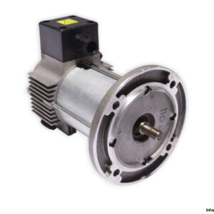 TEM Q3S30120409M DC Electric Motor