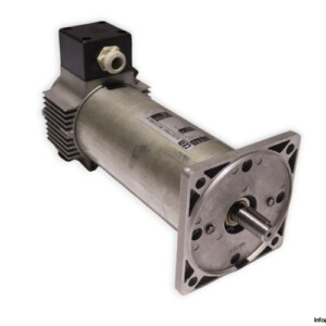 TEM Q4L20170209M DC Electric Motor