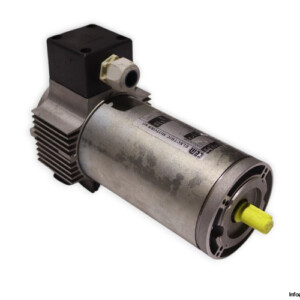 TEM Q4M20170309M DC Electric Motor