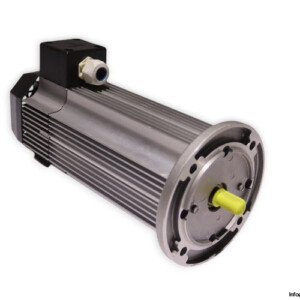 TEM Q7L10240409M DC Electric Motor