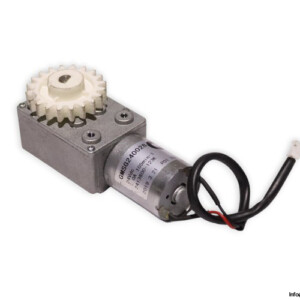 IPM GMSG240028 DC Gear Motor