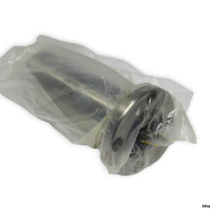 nbs-KBFL-25-PP-linear-ball-bushing-(new)-carton
