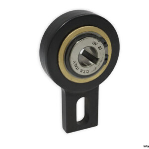C.T.S GV 20 Freewheel Clutch Bearing