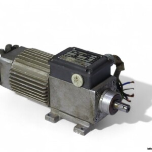 Mini Motor AC320P2T Gear Motor